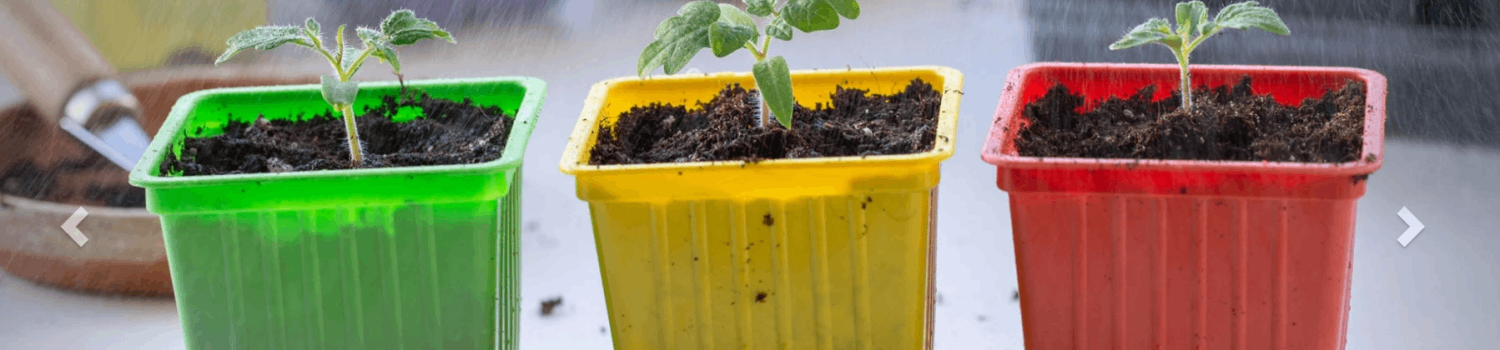 master batch company